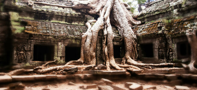 buddhadeb
