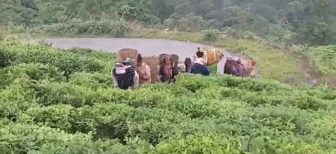 satabdi