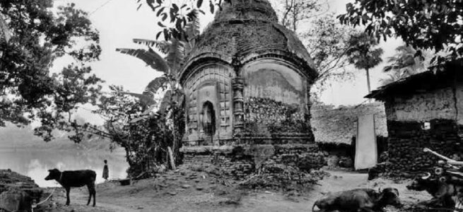 shreejata